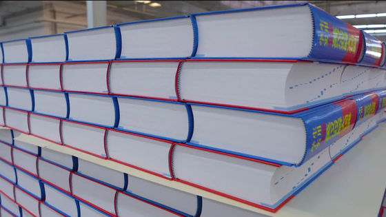 3ph Voltagem Sistema de Estacionamento de Paletes Duplo Profundo para Armazenamento de Cargas Pesadas Máquina de Empilhamento de Empilhadeiras de Livros de capa dura